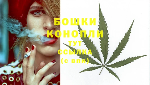 винт Пересвет