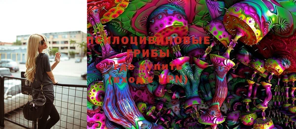 винт Пересвет