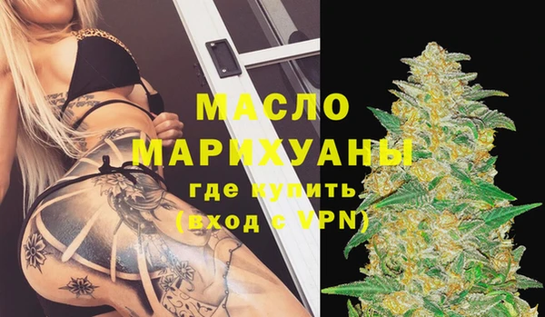 молекула духа Пестово
