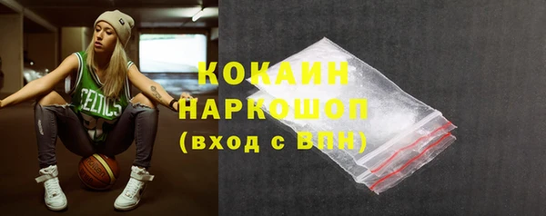 винт Пересвет