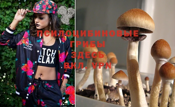 спайс Вуктыл