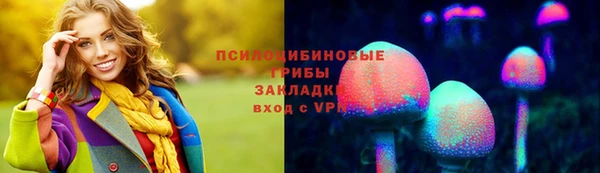 винт Пересвет
