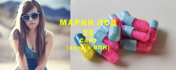 молекула духа Пестово