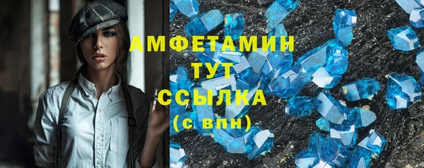 молекула духа Пестово