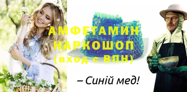 молекула духа Пестово
