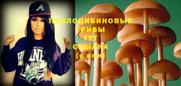 прущая мука Покровск