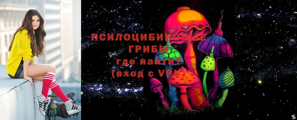 винт Пересвет