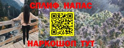 ПСИЛОЦИБИНОВЫЕ ГРИБЫ Бийск
