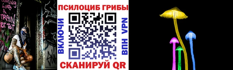 Псилоцибиновые грибы Psilocybe  Губкинский 