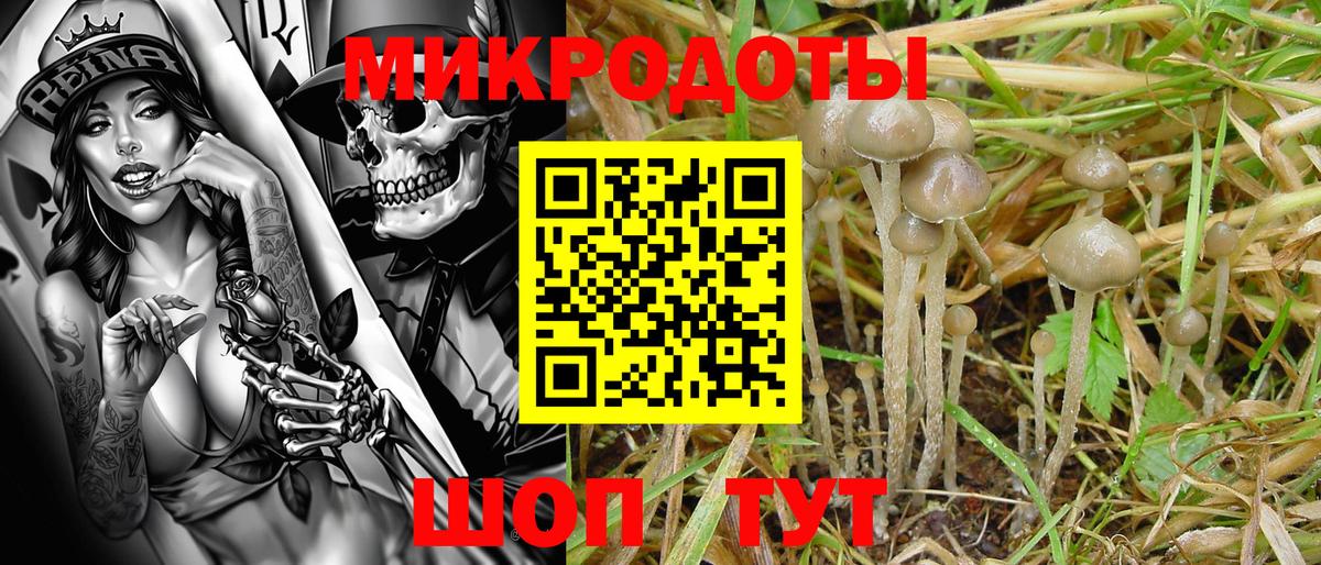 Губкинский  Галлюциногенные грибы ЛСД  наркошоп  Вход с VPN 