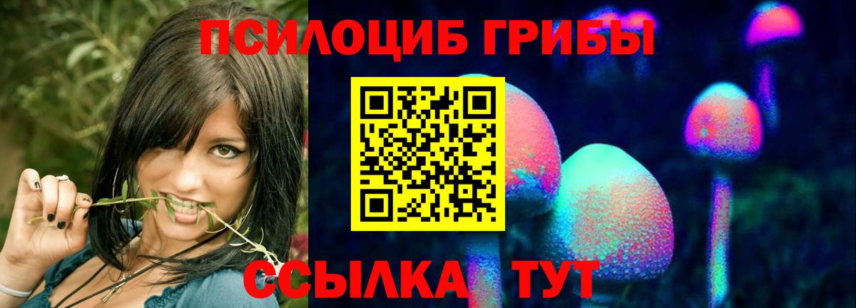Галлюциногенные грибы MAGIC MUSHROOMS Губкинский